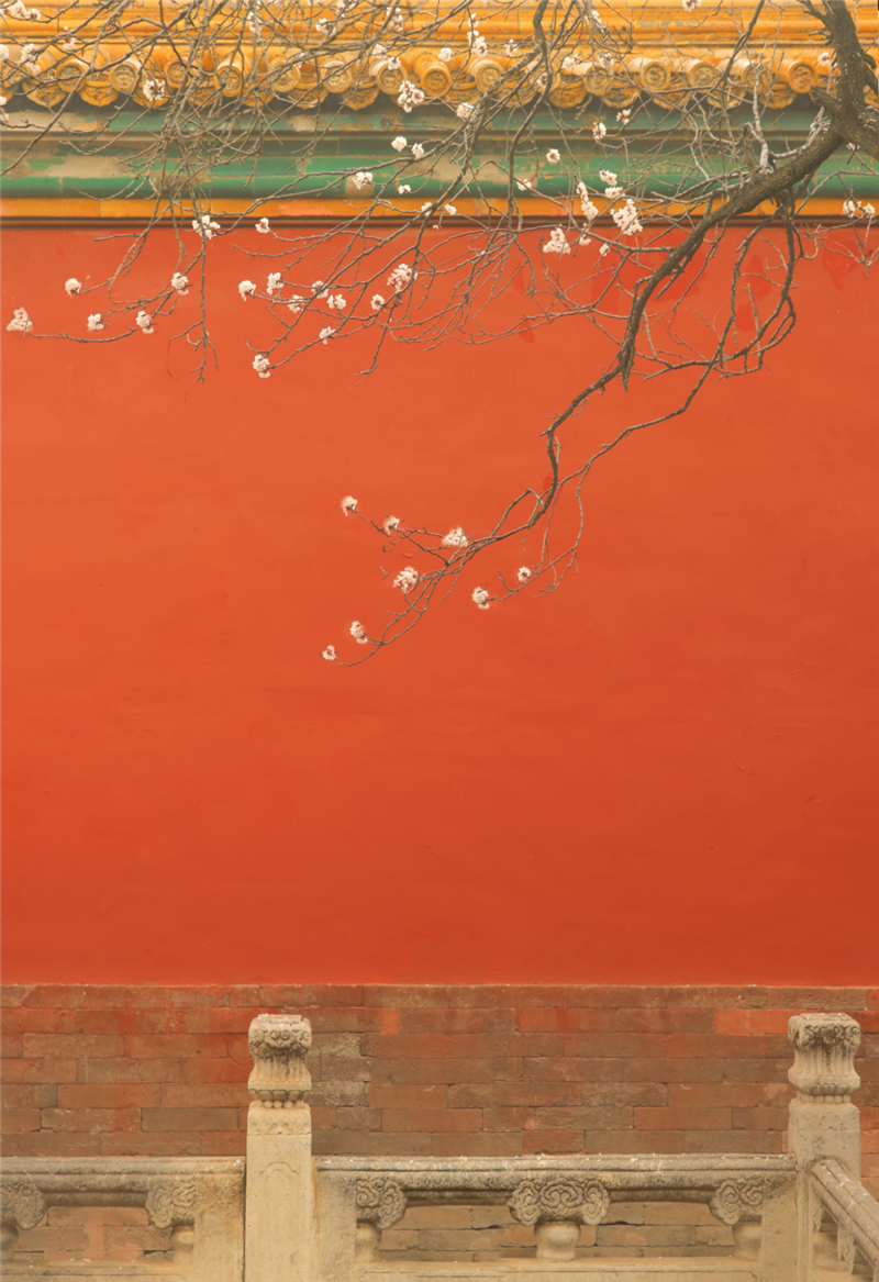 中國紅