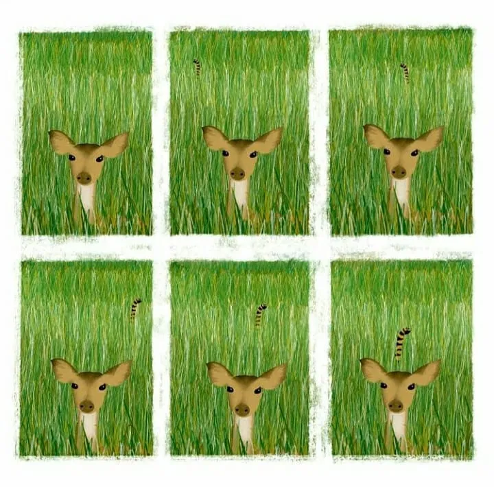圖片